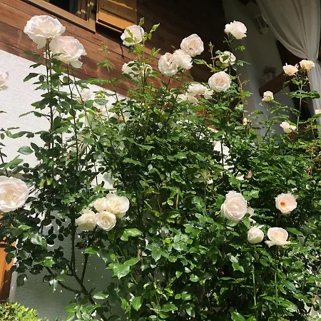 Charmantes In Erhoehter Aussichtslage