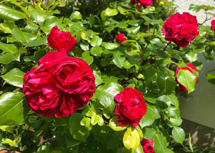 Charmantes In Erhoehter Aussichtslage Modriach