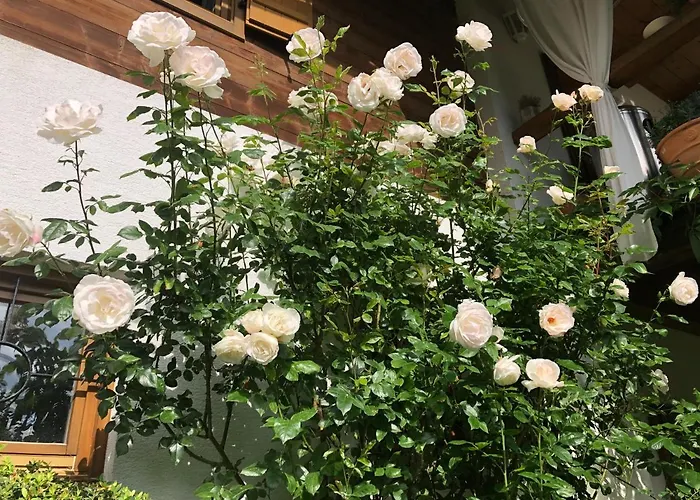 Charmantes In Erhoehter Aussichtslage